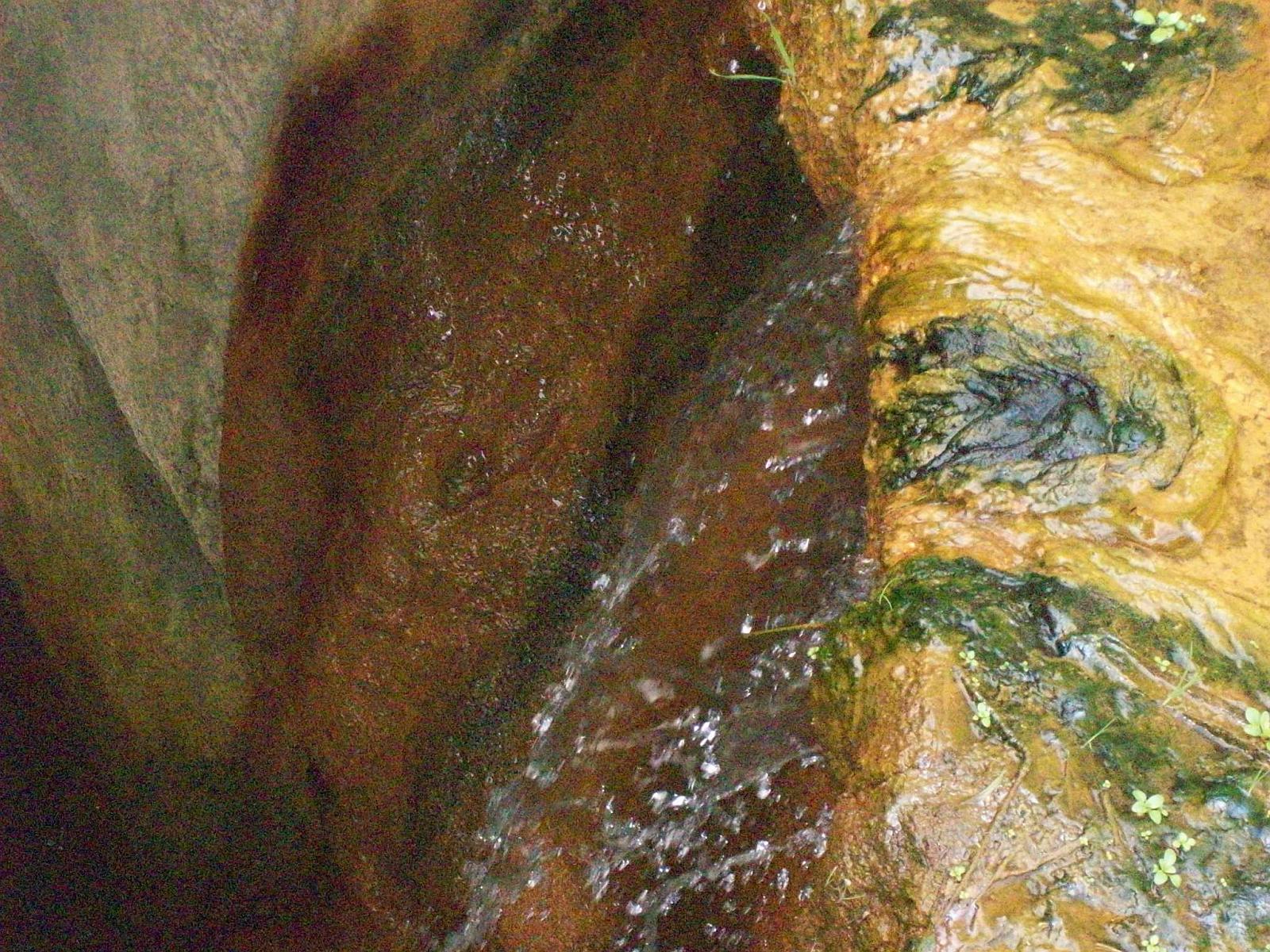 Zoom 18.10.2008-165.jpg